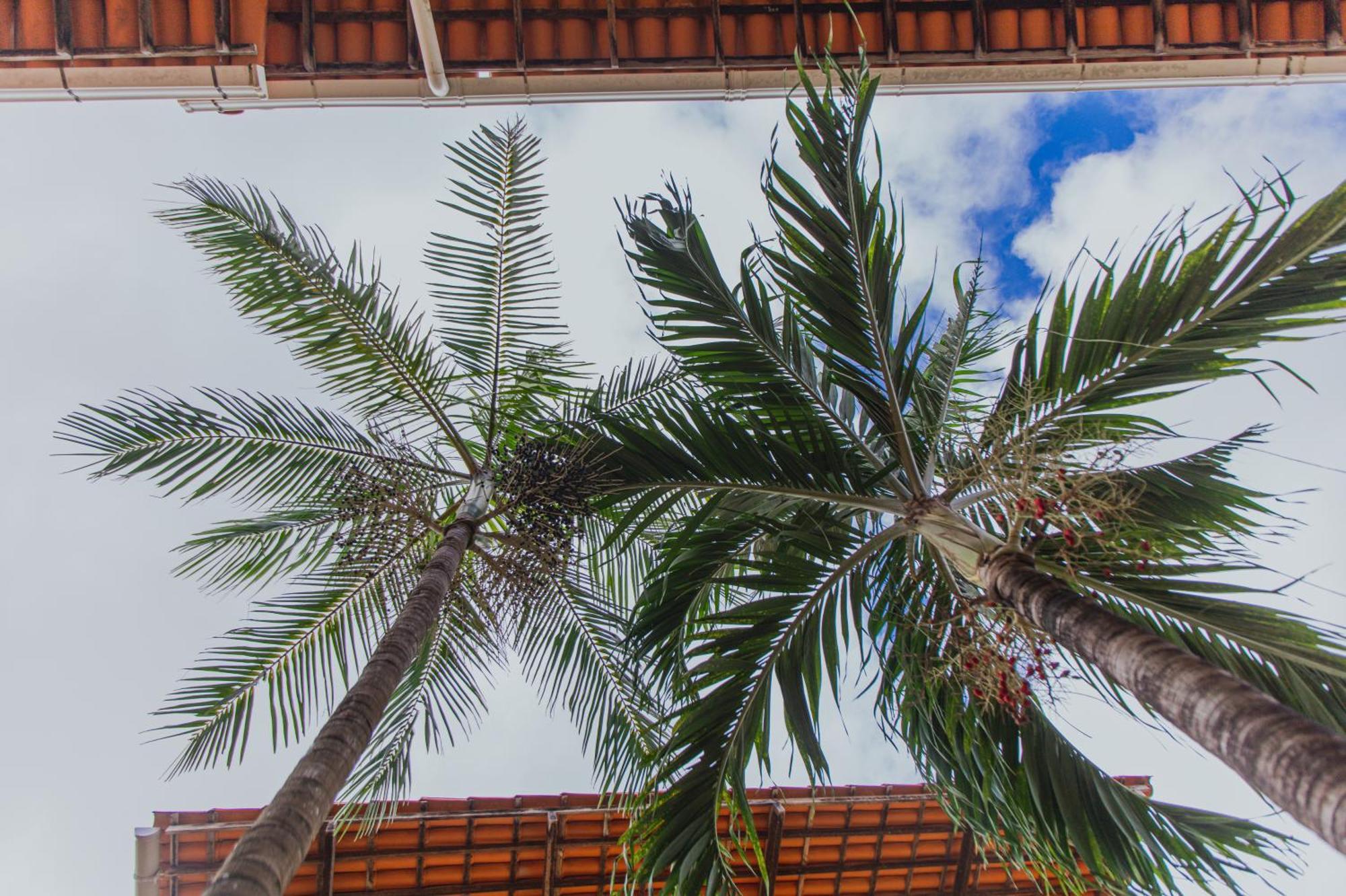 Pousada D' Areia Barreirinhas Ngoại thất bức ảnh